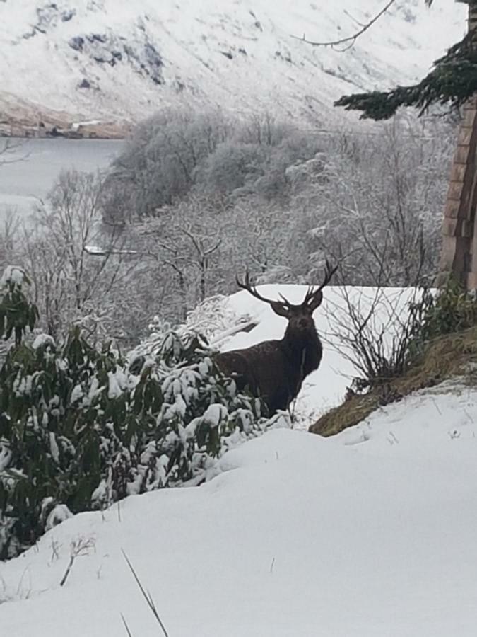 The Armoury Villa Glenfinnan Exterior foto